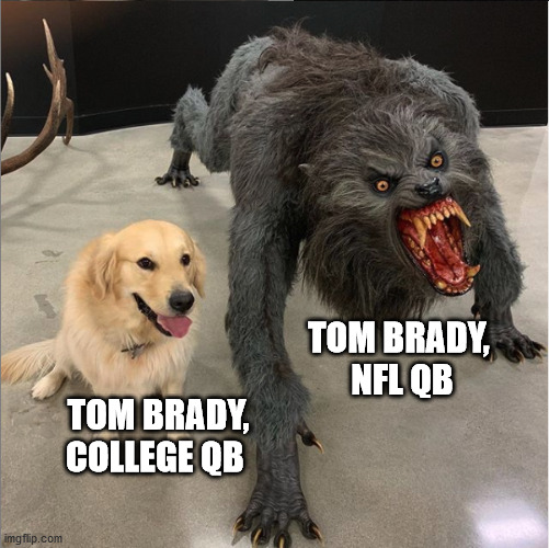 dog vs werewolf | TOM BRADY, 
NFL QB; TOM BRADY, COLLEGE QB | image tagged in dog vs werewolf | made w/ Imgflip meme maker