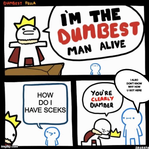 I'm the dumbest man alive | I ALSO DON'T KNOW WHY HOW U GOT HERE; HOW DO I HAVE SCEKS | image tagged in i'm the dumbest man alive | made w/ Imgflip meme maker