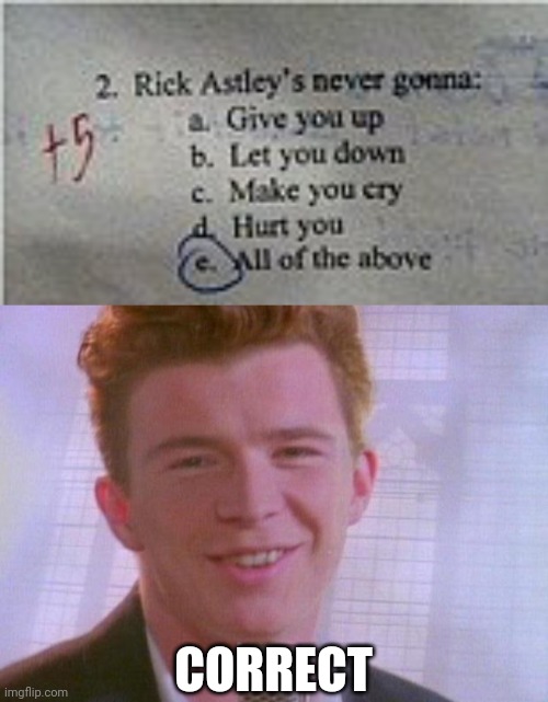 Lol |  CORRECT | image tagged in rick astley,rickroll,funny,memes | made w/ Imgflip meme maker