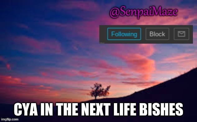 sometimes a guy just wants to hurt,but he doesnt want that pain to last | CYA IN THE NEXT LIFE BISHES | image tagged in sunset | made w/ Imgflip meme maker