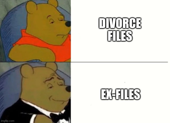 Fancy Winnie The Pooh Meme | DIVORCE FILES; EX-FILES | image tagged in fancy winnie the pooh meme | made w/ Imgflip meme maker