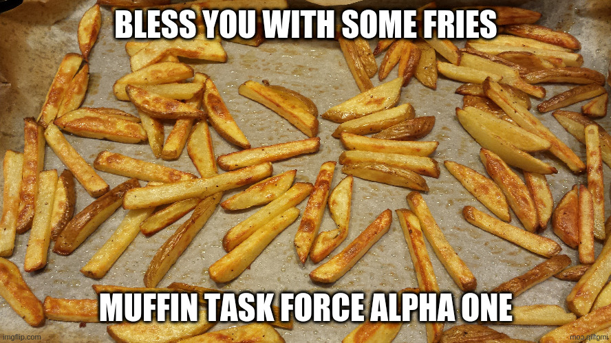 imgflip love | BLESS YOU WITH SOME FRIES; MUFFIN TASK FORCE ALPHA ONE | image tagged in fries | made w/ Imgflip meme maker