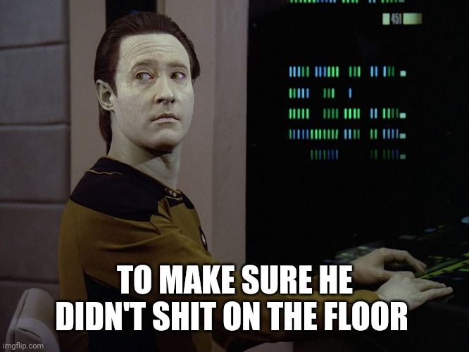 Data-Computer | TO MAKE SURE HE DIDN'T SHIT ON THE FLOOR | image tagged in data-computer | made w/ Imgflip meme maker