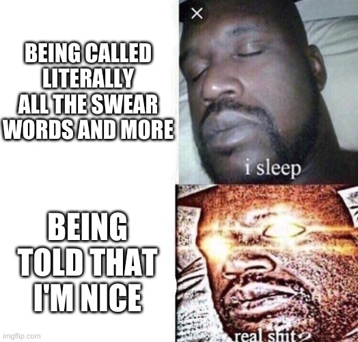 i sleep real shit | BEING CALLED LITERALLY ALL THE SWEAR WORDS AND MORE; BEING TOLD THAT I'M NICE | image tagged in i sleep real shit | made w/ Imgflip meme maker