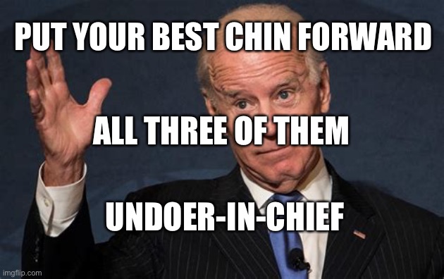 Chin distraction | PUT YOUR BEST CHIN FORWARD; ALL THREE OF THEM; UNDOER-IN-CHIEF | image tagged in biden s chin,loser,biden | made w/ Imgflip meme maker