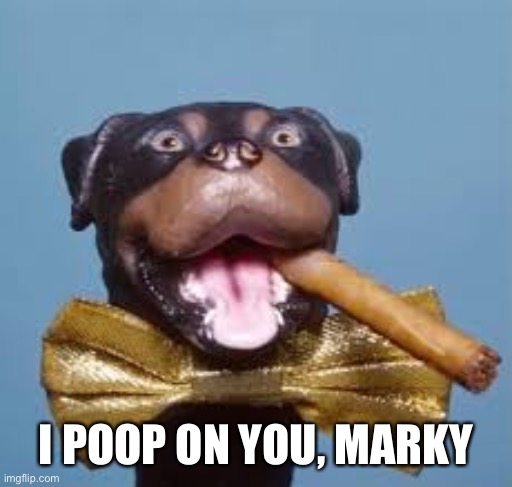 triumph the insult comedy dog rips Trump | I POOP ON YOU, MARKY | image tagged in triumph the insult comedy dog rips trump | made w/ Imgflip meme maker