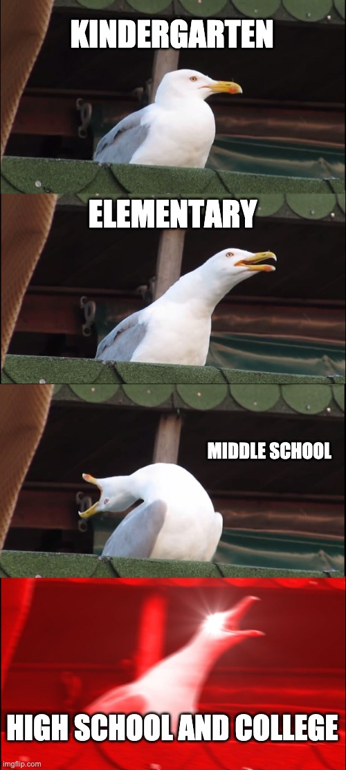 Inhaling Seagull Meme | KINDERGARTEN; ELEMENTARY; MIDDLE SCHOOL; HIGH SCHOOL AND COLLEGE | image tagged in memes,inhaling seagull | made w/ Imgflip meme maker