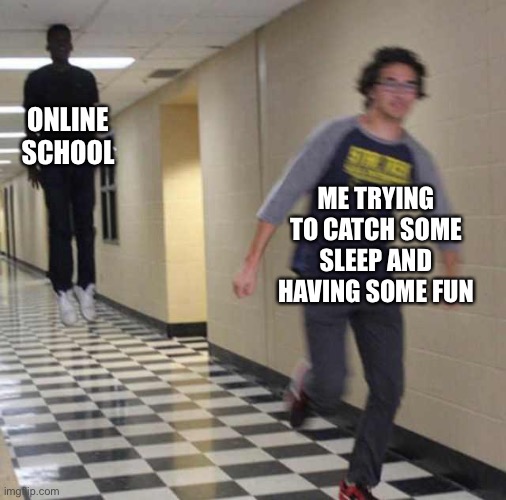 floating boy chasing running boy | ONLINE SCHOOL; ME TRYING TO CATCH SOME SLEEP AND HAVING SOME FUN | image tagged in floating boy chasing running boy | made w/ Imgflip meme maker