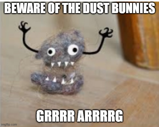 beware of the dust bunnies | BEWARE OF THE DUST BUNNIES; GRRRR ARRRRG | image tagged in funny | made w/ Imgflip meme maker