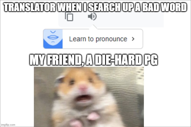 learn to translate a bad word | TRANSLATOR WHEN I SEARCH UP A BAD WORD; MY FRIEND, A DIE-HARD PG | image tagged in hamster | made w/ Imgflip meme maker