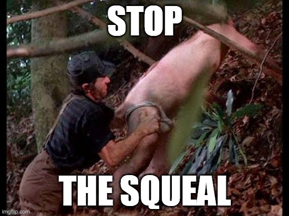 STOP; THE SQUEAL | made w/ Imgflip meme maker