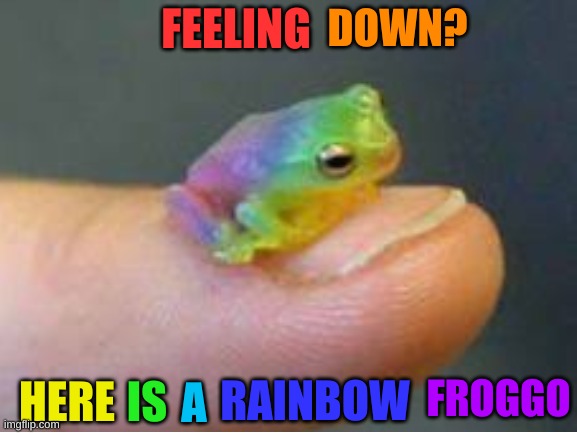 tiny frog | FEELING; DOWN? FROGGO; IS; RAINBOW; A; HERE | image tagged in frog | made w/ Imgflip meme maker