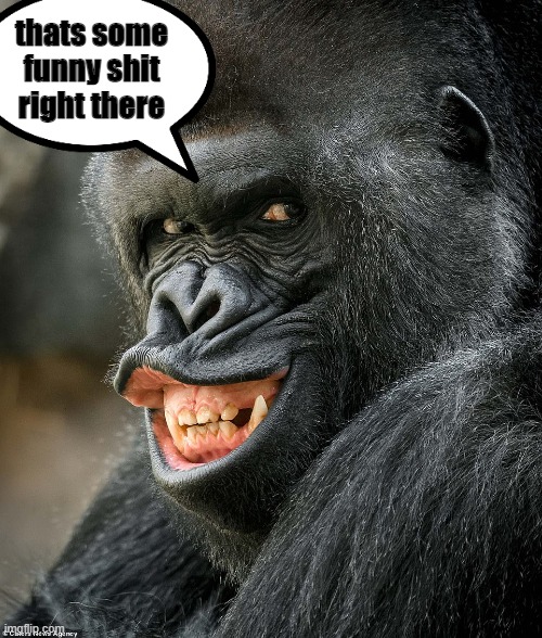 thats some funny shit right there | made w/ Imgflip meme maker