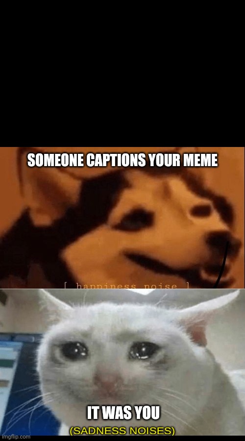 [happiness noise] | SOMEONE CAPTIONS YOUR MEME; IT WAS YOU | image tagged in happiness noise | made w/ Imgflip meme maker