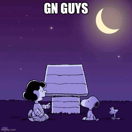 Good night  | GN GUYS | image tagged in good night | made w/ Imgflip meme maker