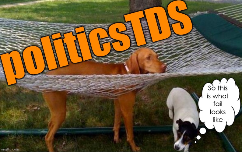 Fail Dog | politicsTDS | image tagged in fail dog | made w/ Imgflip meme maker
