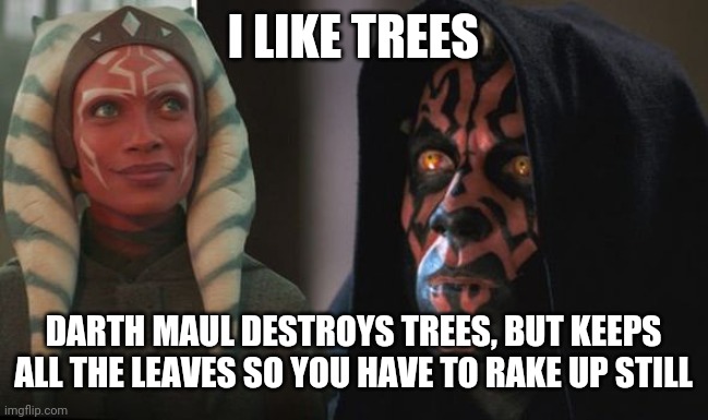 Darth Maul Detroys | I LIKE TREES; DARTH MAUL DESTROYS TREES, BUT KEEPS ALL THE LEAVES SO YOU HAVE TO RAKE UP STILL | image tagged in darth maul detroys | made w/ Imgflip meme maker