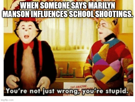 You're not just wrong your stupid | WHEN SOMEONE SAYS MARILYN MANSON INFLUENCES SCHOOL SHOOTINGS. | image tagged in you're not just wrong your stupid | made w/ Imgflip meme maker