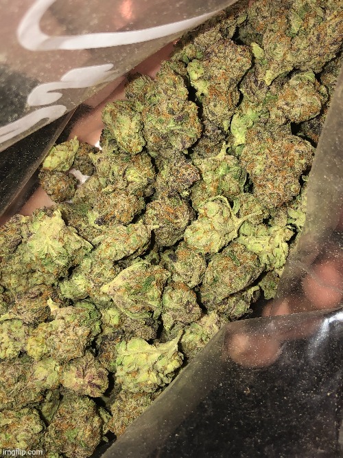 Some weed I bought yesterday | made w/ Imgflip meme maker