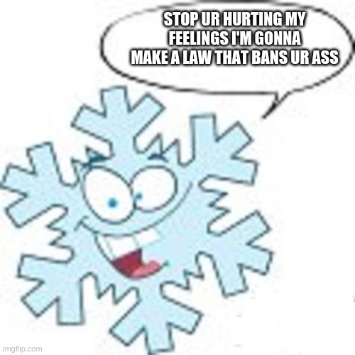 Snowflake | STOP UR HURTING MY FEELINGS I'M GONNA MAKE A LAW THAT BANS UR ASS | image tagged in snowflake | made w/ Imgflip meme maker