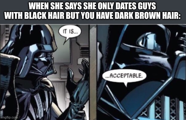 They’re pretty much the same thing | WHEN SHE SAYS SHE ONLY DATES GUYS WITH BLACK HAIR BUT YOU HAVE DARK BROWN HAIR: | image tagged in it is acceptable,meme | made w/ Imgflip meme maker
