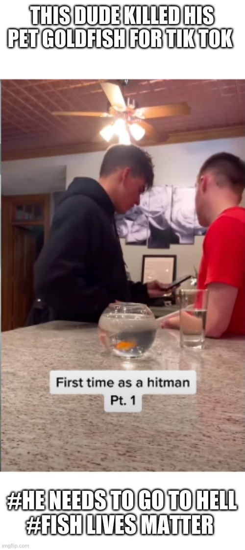 why?!/! | THIS DUDE KILLED HIS PET GOLDFISH FOR TIK TOK; #HE NEEDS TO GO TO HELL
#FISH LIVES MATTER | image tagged in fishlivesmatter | made w/ Imgflip meme maker
