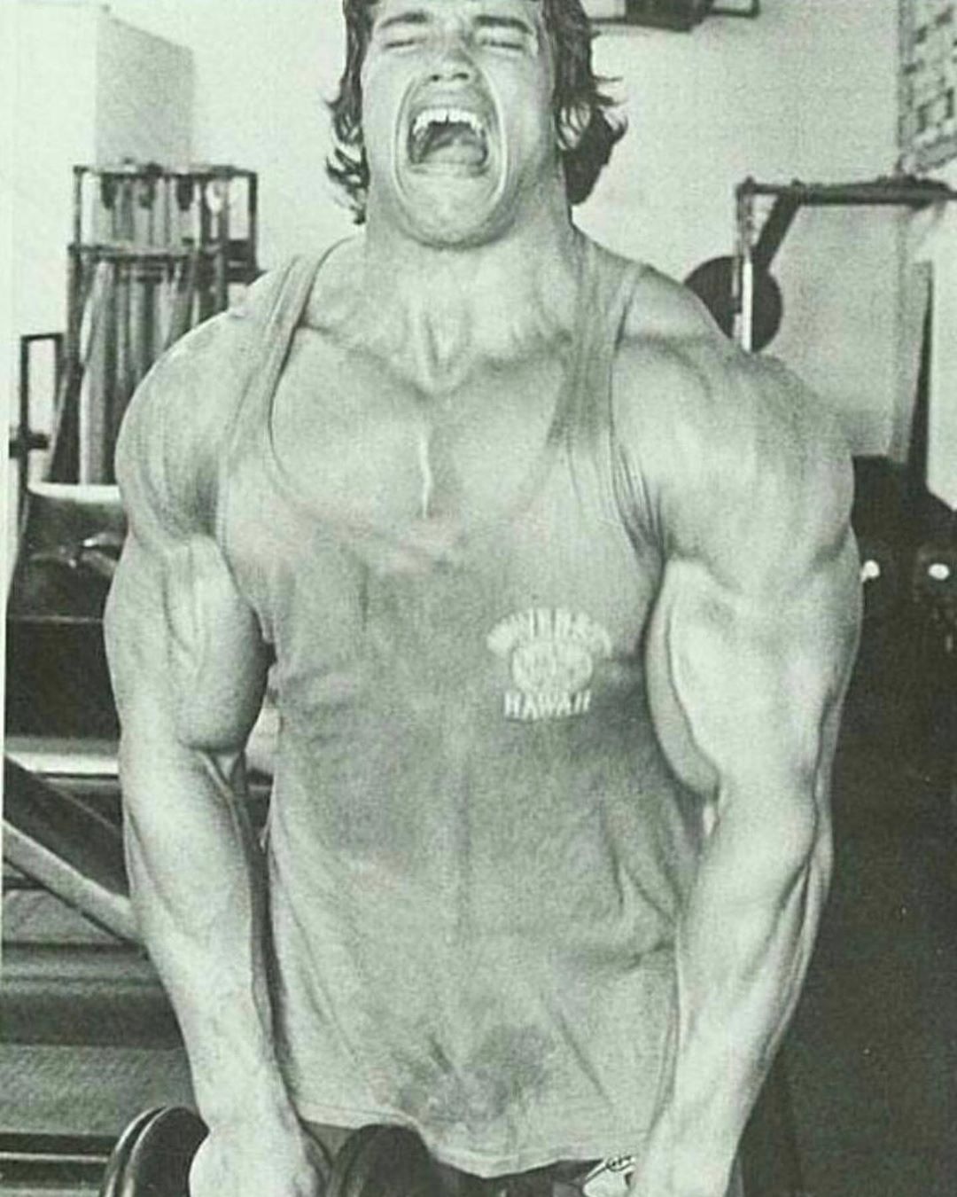 High Quality Arnold Lifting Blank Meme Template