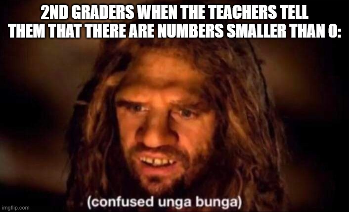 It's confusing! | 2ND GRADERS WHEN THE TEACHERS TELL THEM THAT THERE ARE NUMBERS SMALLER THAN 0: | image tagged in confused unga bunga,school | made w/ Imgflip meme maker