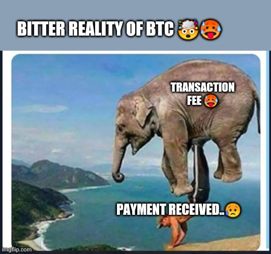 Btc | BITTER REALITY OF BTC 🤯🥵; TRANSACTION FEE 🥵; PAYMENT RECEIVED..😥 | image tagged in btc | made w/ Imgflip meme maker