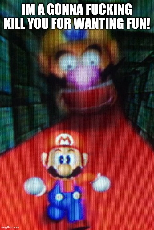 Wario Chasing Mario | IM A GONNA FUCKING KILL YOU FOR WANTING FUN! | image tagged in wario chasing mario | made w/ Imgflip meme maker