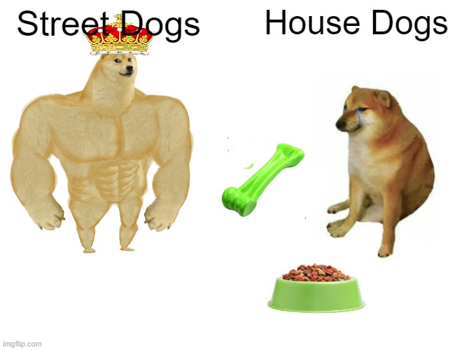 Buff Doge vs. Cheems | Street Dogs; House Dogs | image tagged in memes,buff doge vs cheems,street dogs | made w/ Imgflip meme maker