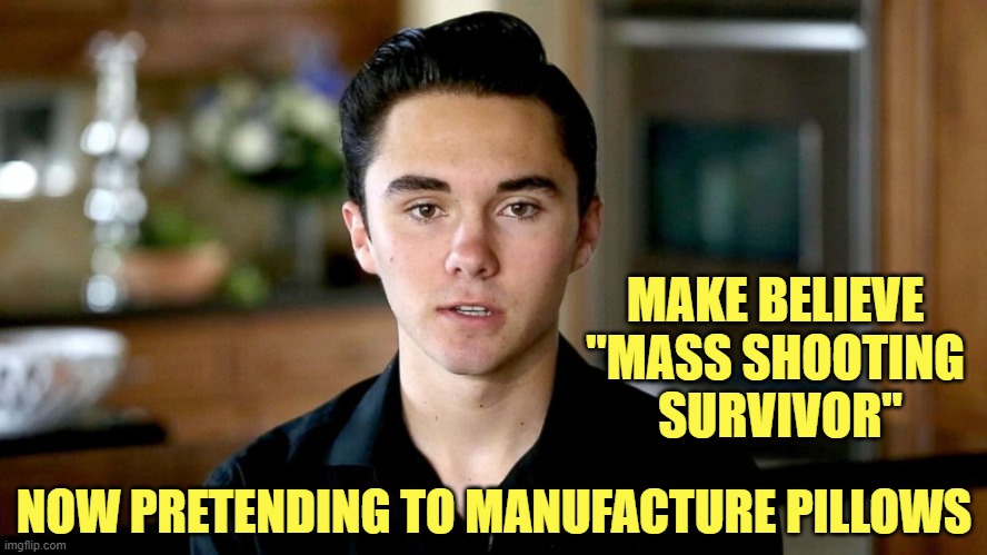 Phony as a three dollar bill. | MAKE BELIEVE  
"MASS SHOOTING 
SURVIVOR"; NOW PRETENDING TO MANUFACTURE PILLOWS | image tagged in hogg | made w/ Imgflip meme maker