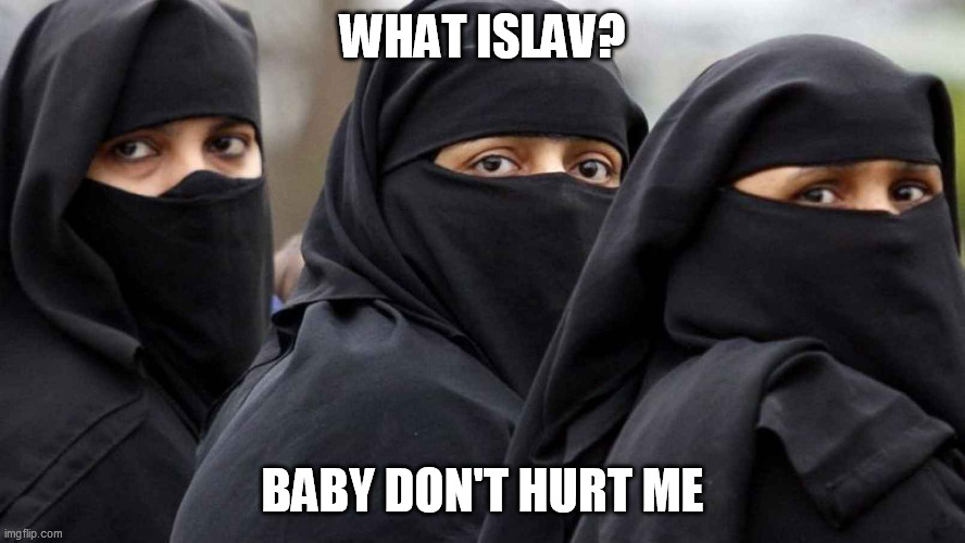 Islamic women | WHAT ISLAV? BABY DON'T HURT ME | image tagged in islamic women,memes | made w/ Imgflip meme maker