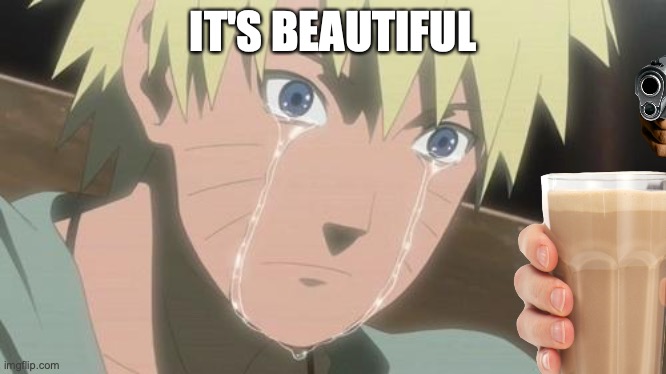 Finishing anime | IT'S BEAUTIFUL | image tagged in finishing anime | made w/ Imgflip meme maker
