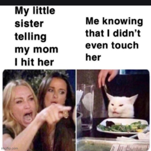 funny meme | image tagged in woman yelling at cat | made w/ Imgflip meme maker