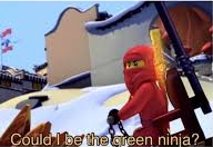 High Quality Could I be the Green Ninja? Blank Meme Template