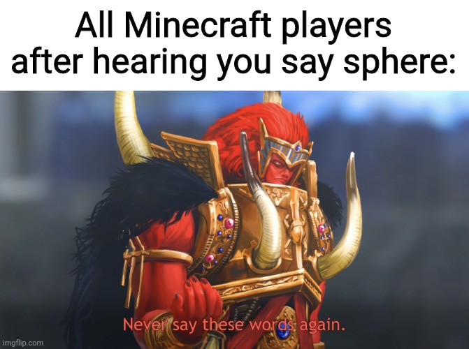 Spheres are forbidden | All Minecraft players after hearing you say sphere: | image tagged in never say these words again | made w/ Imgflip meme maker