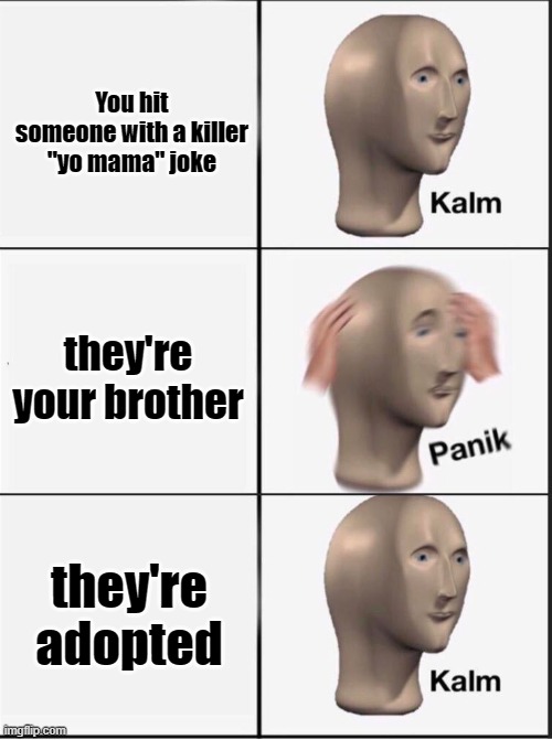 E | You hit someone with a killer "yo mama" joke; they're your brother; they're adopted | image tagged in reverse kalm panik | made w/ Imgflip meme maker