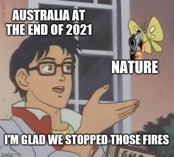 Is This A Pigeon Meme | AUSTRALIA AT THE END OF 2021; NATURE; I'M GLAD WE STOPPED THOSE FIRES | image tagged in memes,is this a pigeon | made w/ Imgflip meme maker