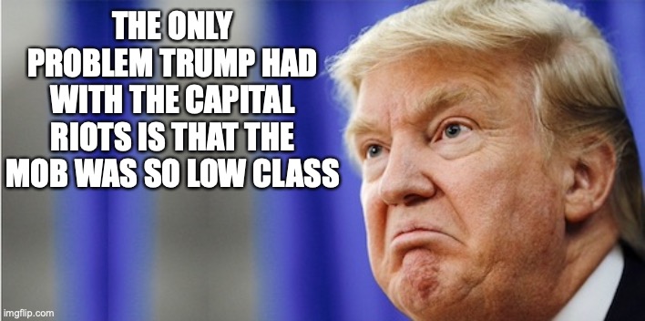 Trump Mad | THE ONLY PROBLEM TRUMP HAD WITH THE CAPITAL RIOTS IS THAT THE MOB WAS SO LOW CLASS | image tagged in trump mad | made w/ Imgflip meme maker