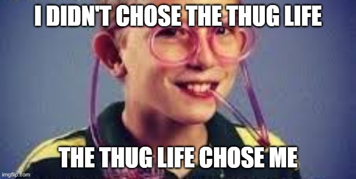 I DIDN'T CHOSE THE THUG LIFE; THE THUG LIFE CHOSE ME | image tagged in memes | made w/ Imgflip meme maker