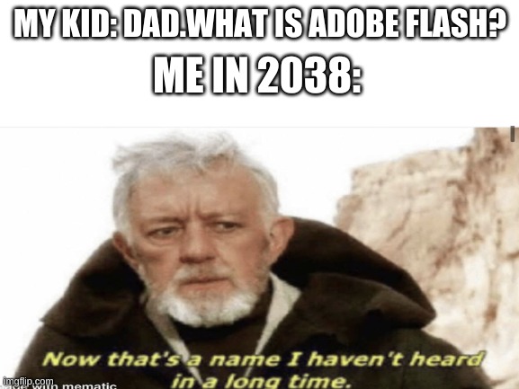 who´s gonna remember it |  MY KID: DAD.WHAT IS ADOBE FLASH? ME IN 2038: | image tagged in blank | made w/ Imgflip meme maker
