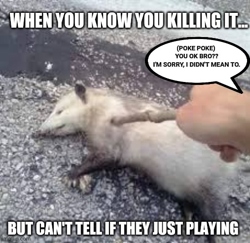 WHEN YOU KNOW YOU KILLING IT... (POKE POKE) 
YOU OK BRO??
 I'M SORRY, I DIDN'T MEAN TO. BUT CAN'T TELL IF THEY JUST PLAYING | image tagged in oh boy here i go killing again,memes,funny,opossum,spelling matters | made w/ Imgflip meme maker