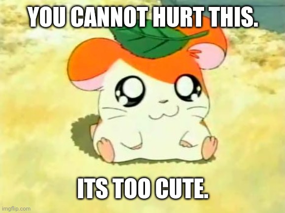 Hamtaro Meme | YOU CANNOT HURT THIS. ITS TOO CUTE. | image tagged in memes,hamtaro | made w/ Imgflip meme maker