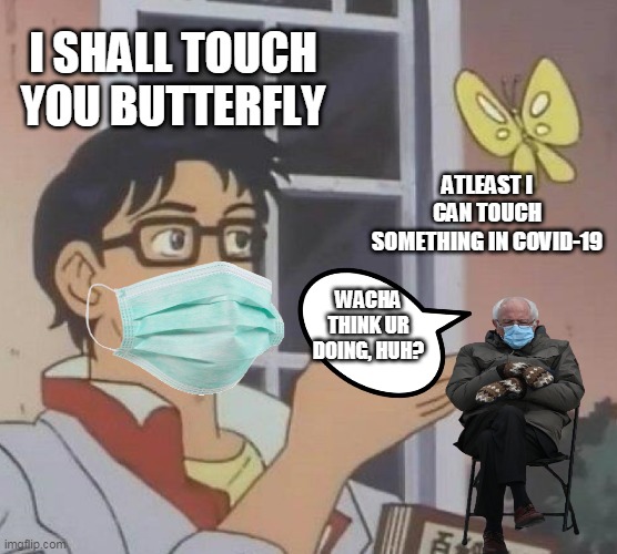 Is This A Pigeon | I SHALL TOUCH YOU BUTTERFLY; ATLEAST I CAN TOUCH SOMETHING IN COVID-19; WACHA THINK UR DOING, HUH? | image tagged in memes,is this a pigeon | made w/ Imgflip meme maker