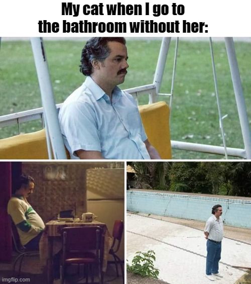 Sad Pablo Escobar | My cat when I go to the bathroom without her: | image tagged in memes,sad pablo escobar | made w/ Imgflip meme maker