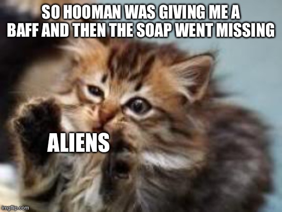 Cat ❤️ Bath | SO HOOMAN WAS GIVING ME A BAFF AND THEN THE SOAP WENT MISSING; ALIENS | image tagged in alien cat,aliens | made w/ Imgflip meme maker