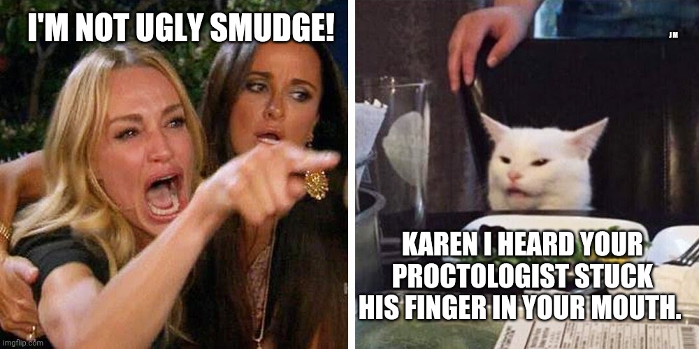 Smudge the cat | J M; I'M NOT UGLY SMUDGE! KAREN I HEARD YOUR PROCTOLOGIST STUCK HIS FINGER IN YOUR MOUTH. | image tagged in smudge the cat | made w/ Imgflip meme maker
