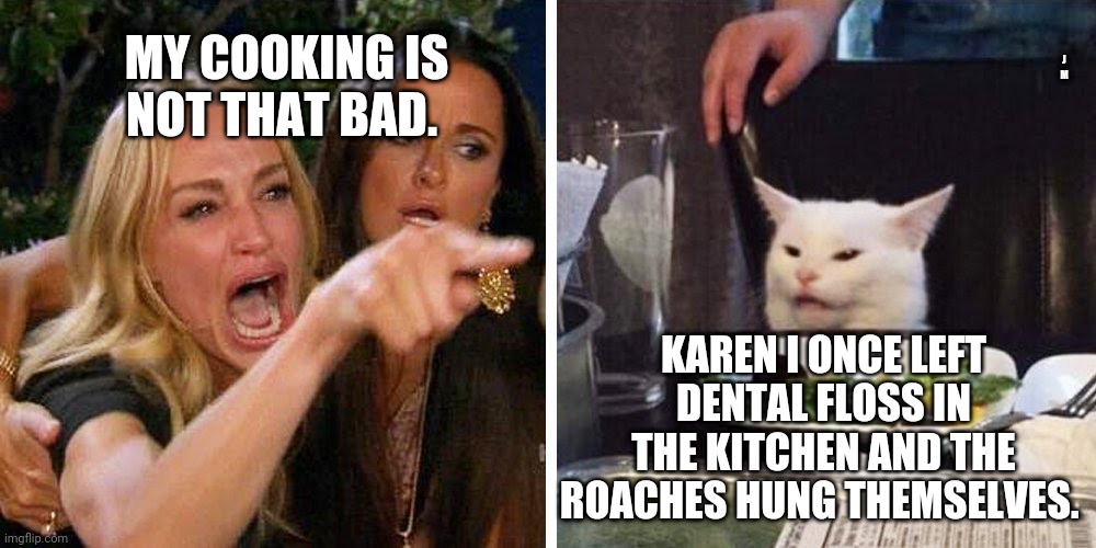 Smudge the cat | J M; MY COOKING IS NOT THAT BAD. KAREN I ONCE LEFT DENTAL FLOSS IN THE KITCHEN AND THE ROACHES HUNG THEMSELVES. | image tagged in smudge the cat | made w/ Imgflip meme maker