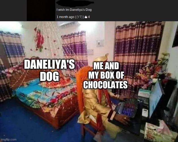 I'm gonna feed chocolate to Daneliya's dog  bcuz Angélina Nava rules Daneliya sucks XD |  DANELIYA'S DOG; ME AND MY BOX OF CHOCOLATES | image tagged in memes,dogs,chocolate,lol | made w/ Imgflip meme maker